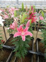 [4294 Mumbai DJ No01.JPG]